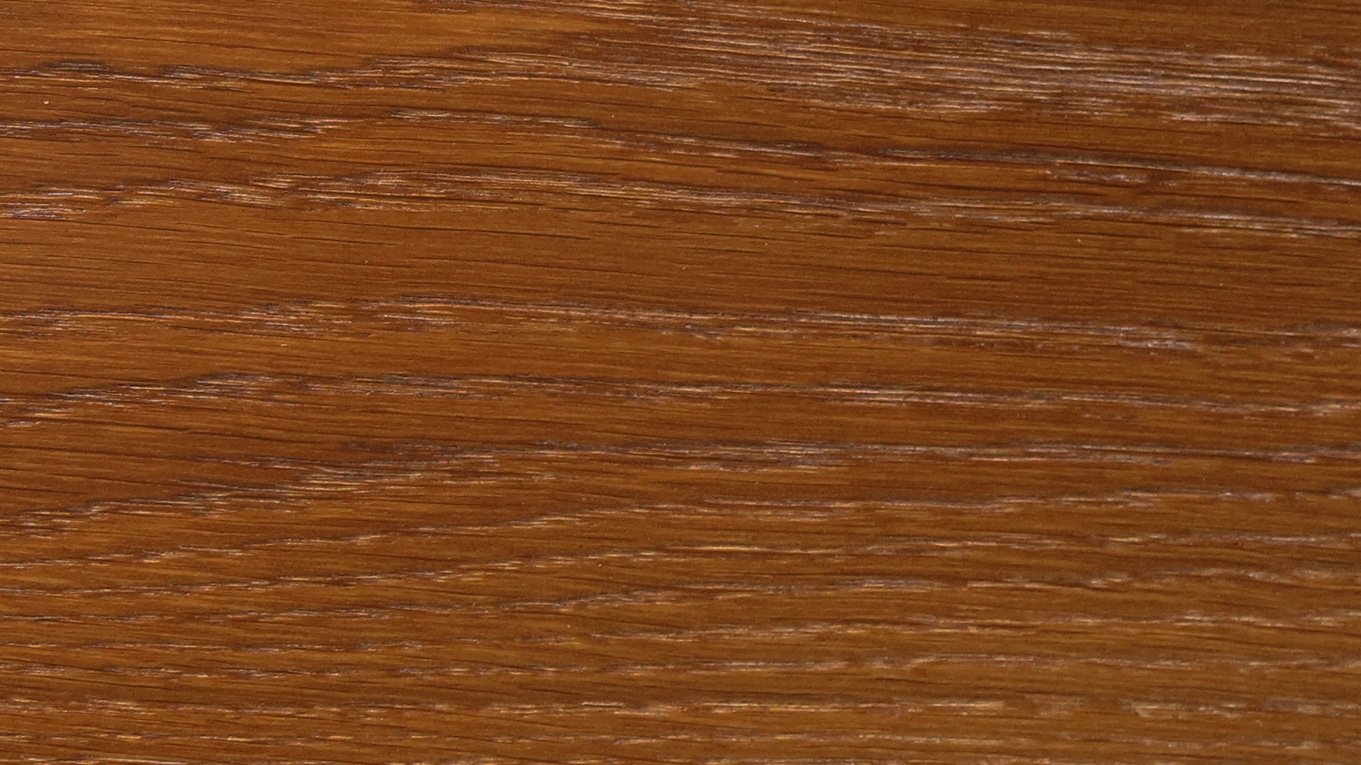 colorwood 08_57b73465d50ff